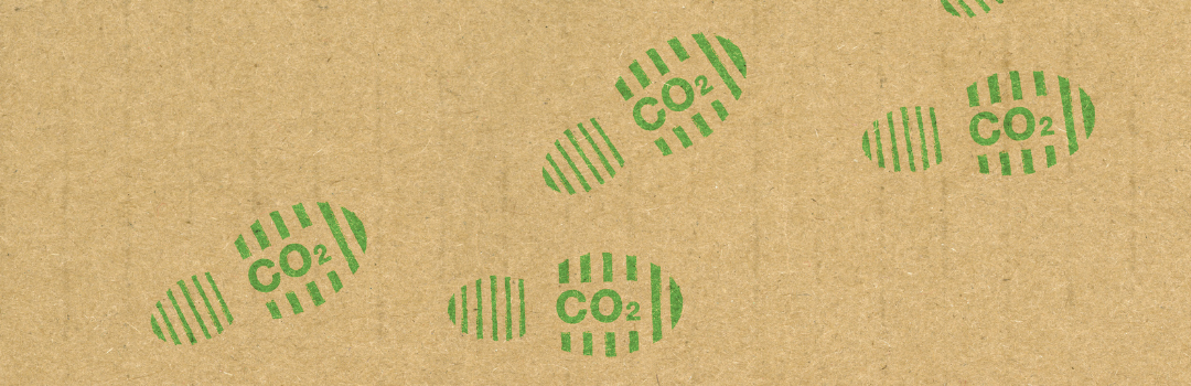 Senken Sie ihren CO2 Fußabdruck, Tipps und Maßnahmen!